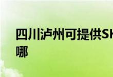 四川瀘州可提供SKG咖啡機維修服務地址在哪