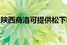 陜西商洛可提供松下咖啡機維修服務地址在哪