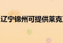 遼寧錦州可提供萊克豆?jié){機維修服務(wù)地址在哪