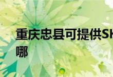 重慶忠縣可提供SKG咖啡機維修服務地址在哪