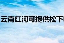 云南紅河可提供松下咖啡機維修服務地址在哪