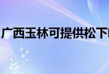 廣西玉林可提供松下咖啡機維修服務地址在哪