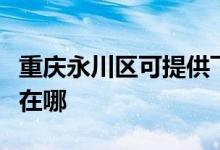 重慶永川區(qū)可提供飛利浦咖啡機維修服務地址在哪
