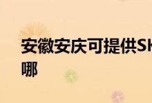 安徽安慶可提供SKG咖啡機維修服務地址在哪