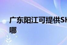 廣東陽江可提供SKG咖啡機維修服務地址在哪