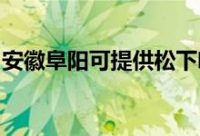 安徽阜陽可提供松下咖啡機維修服務地址在哪