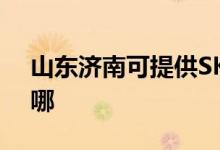 山東濟南可提供SKG咖啡機維修服務地址在哪