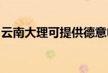 云南大理可提供德意電烤箱維修服務地址在哪