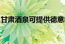 甘肅酒泉可提供德意電烤箱維修服務地址在哪
