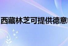 西藏林芝可提供德意電烤箱維修服務地址在哪