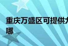 重慶萬(wàn)盛區(qū)可提供九陽(yáng)面包機(jī)維修服務(wù)地址在哪