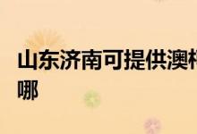 山東濟南可提供澳柯瑪面包機維修服務(wù)地址在哪