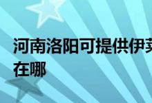 河南洛陽(yáng)可提供伊萊克斯面包機(jī)維修服務(wù)地址在哪