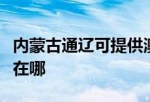 內(nèi)蒙古通遼可提供澳柯瑪面包機維修服務(wù)地址在哪