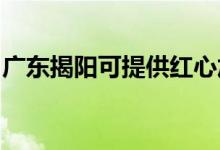 廣東揭陽(yáng)可提供紅心加濕器維修服務(wù)地址在哪