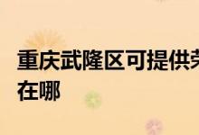重慶武隆區(qū)可提供榮事達電風(fēng)扇維修服務(wù)地址在哪