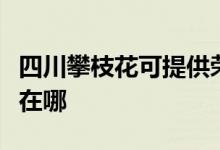 四川攀枝花可提供榮事達電風扇維修服務地址在哪