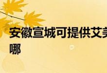 安徽宣城可提供艾美特電風扇維修服務地址在哪