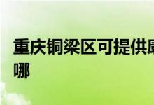 重慶銅梁區(qū)可提供康佳電風扇維修服務地址在哪