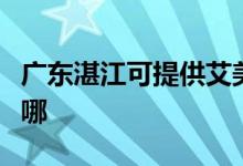 廣東湛江可提供艾美特電風扇維修服務地址在哪