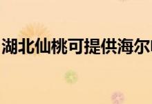 湖北仙桃可提供海爾電風扇維修服務地址在哪