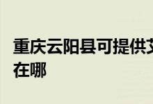 重慶云陽(yáng)縣可提供艾美特電暖器維修服務(wù)地址在哪