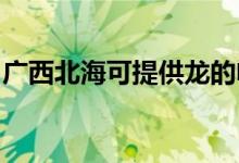 廣西北?？商峁埖碾婏L(fēng)扇維修服務(wù)地址在哪