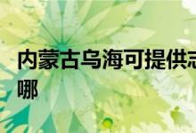內(nèi)蒙古烏??商峁┲靖唠娕骶S修服務(wù)地址在哪