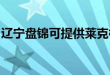 遼寧盤錦可提供萊克榨汁機(jī)維修服務(wù)地址在哪