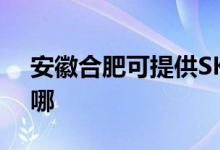 安徽合肥可提供SKG榨汁機維修服務(wù)地址在哪