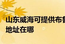 山東威?？商峁┎剪斞艩柨諝鈨艋骶S修服務(wù)地址在哪