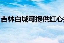吉林白城可提供紅心掛燙機維修服務(wù)地址在哪