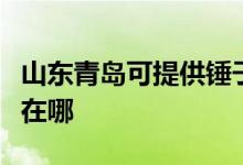 山東青島可提供錘子空氣凈化器維修服務地址在哪