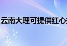 云南大理可提供紅心掛燙機維修服務(wù)地址在哪