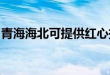 青海海北可提供紅心掛燙機維修服務(wù)地址在哪