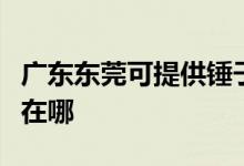 廣東東莞可提供錘子空氣凈化器維修服務地址在哪