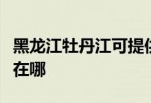 黑龍江牡丹江可提供紅心掛燙機維修服務(wù)地址在哪