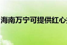 海南萬寧可提供紅心掛燙機維修服務(wù)地址在哪