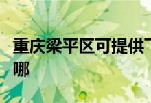 重慶梁平區(qū)可提供飛科掛燙機維修服務(wù)地址在哪