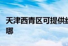 天津西青區(qū)可提供紅心掛燙機維修服務(wù)地址在哪