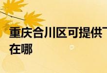 重慶合川區(qū)可提供飛利浦掛燙機維修服務(wù)地址在哪