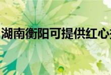 湖南衡陽可提供紅心掛燙機維修服務(wù)地址在哪