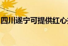 四川遂寧可提供紅心掛燙機維修服務(wù)地址在哪