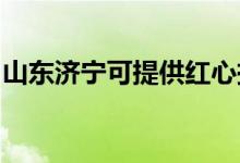 山東濟寧可提供紅心掛燙機維修服務(wù)地址在哪