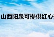 山西陽泉可提供紅心掛燙機維修服務(wù)地址在哪