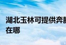 湖北玉林可提供奔騰空氣凈化器維修服務地址在哪