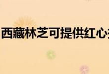 西藏林芝可提供紅心掛燙機維修服務(wù)地址在哪