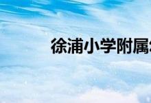 徐浦小學附屬幼兒部的地址在哪