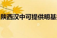 陜西漢中可提供明基投影機維修服務(wù)地址在哪