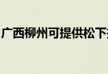 廣西柳州可提供松下投影機維修服務(wù)地址在哪